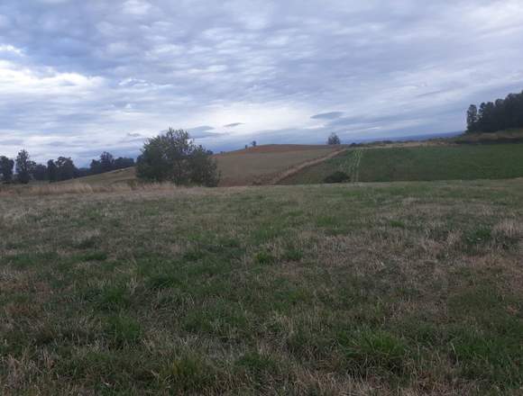 Venta de terreno para construir en Los Lagos (Comuna)