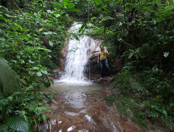 Vendo una finca de 50 hectáreas, selva. en Lago Agrio (Cantón)