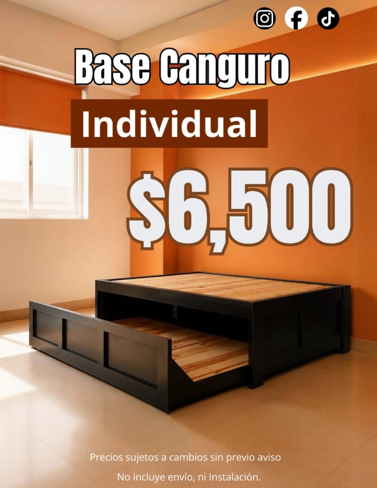 Cama Canguro Individual-Individual en México I ¡Excelentes Precios!