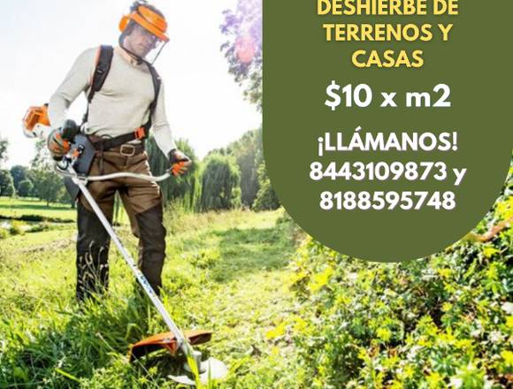 DESHIERBE DE TERRENOS Y CASAS
