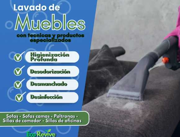 Lavado e higienizacion muebles del hogar y oficina en Zipaquirá (Municipio)