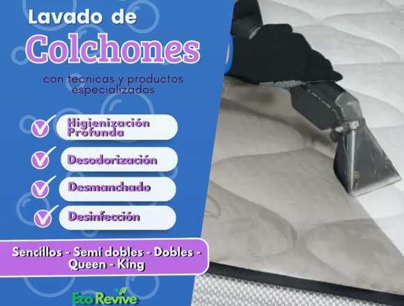 Lavado e higienizado de Colchones en Zipaquirá (Municipio)