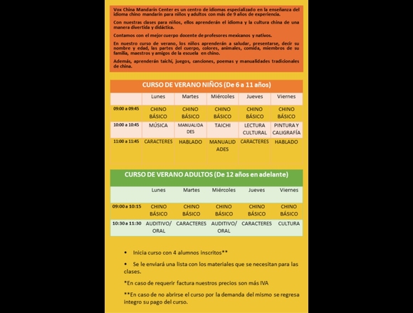 Curso de Verano en Línea