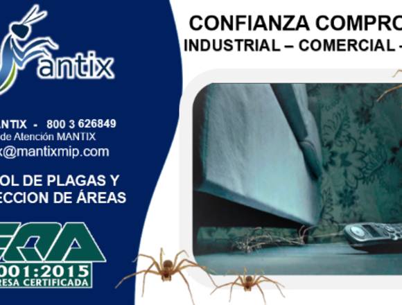 Control de Plagas y Desinfección de Áreas en Tlalnepantla de Baz (Municipio)