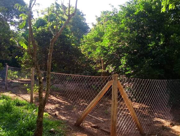 Vendo Chacra 3Has. ¡Excelente oportunidad! en Puerto Iguazú (Localidad)