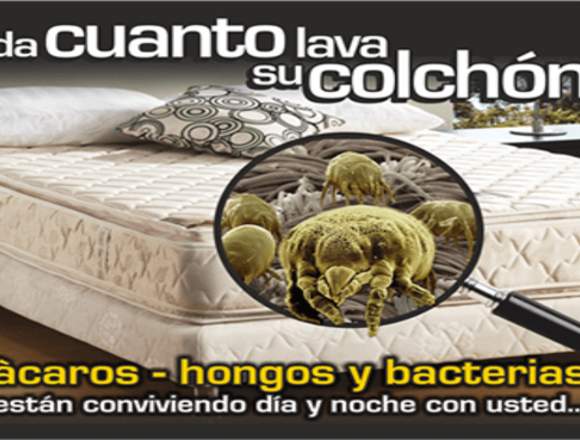 Lavado y Desinfeccion de Muebles,Colchones en Sucre (Municipio)