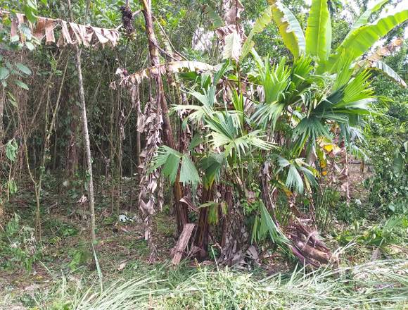 Terreno para quinta en Talag en Tena (Cantón)