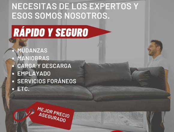 fletes y mudanzas villahermosa garcia hnos en Centro (Municipio)