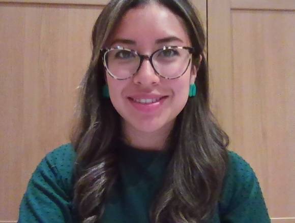 CLASES PARTICULARES DE INGLES EN LINEA en Quito (Cantón)