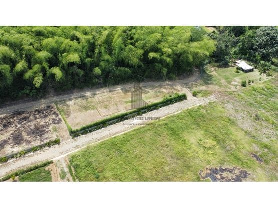 VENDO LOTE CAMPESTRE EN VITERBO CALDAS