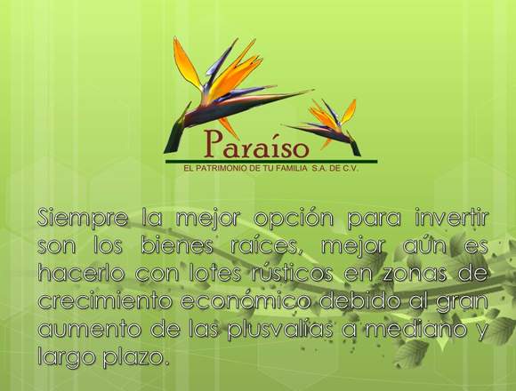 VENTA DE TERRENOS RUSTICOS