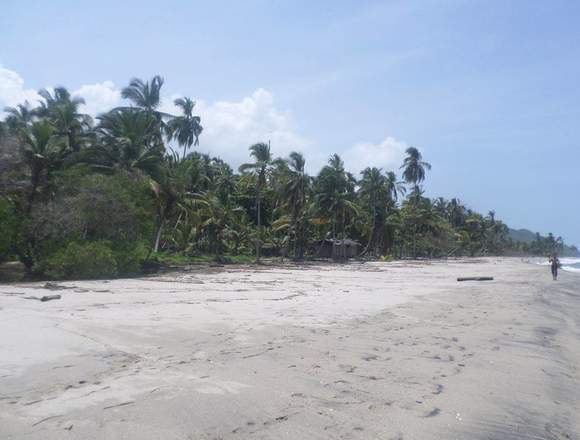 Terreno con Orilla de Playa en Palomino LaGuajira