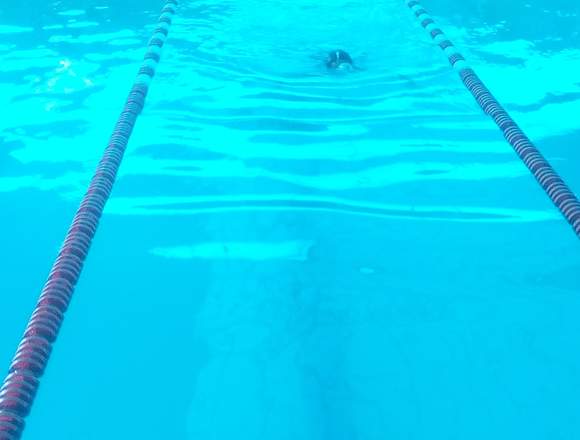 enseñanza de natacion en Arequipa (Distrito)