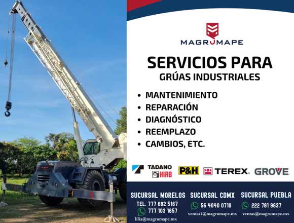 SERVICIOS PARA GRÚAS INDUSTRIALES en Cuernavaca (Municipio)