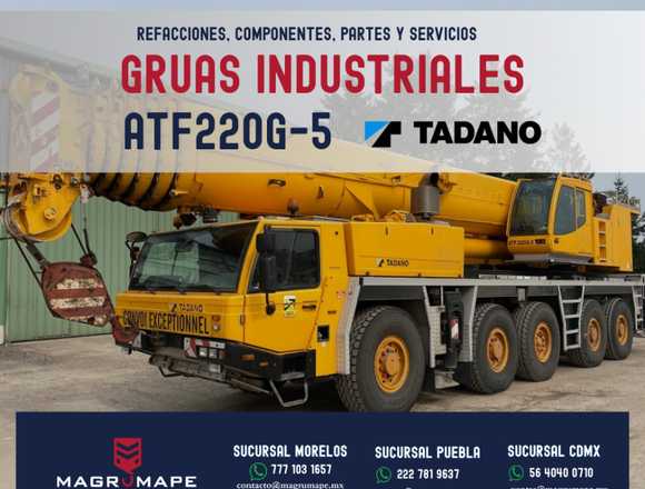 GRUAS INDUSTRIALES ATF220G-5 TADANO en Cuernavaca (Municipio)