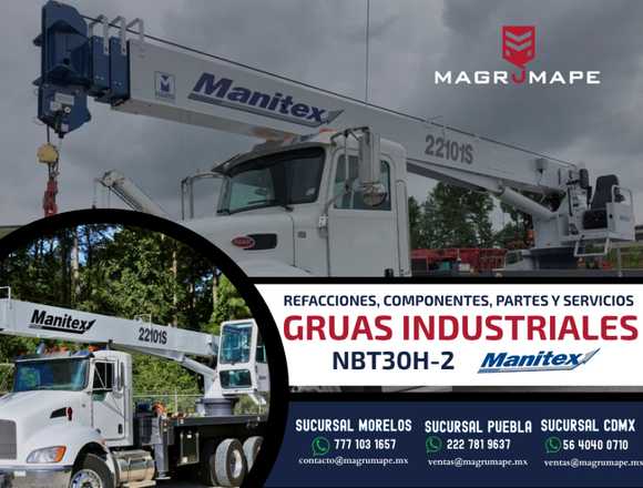 GRUAS INDUSTRIALES NBT30H-2 MANITEX en Cuernavaca (Municipio)