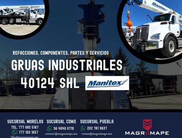 GRUAS INDUSTRIALES 40124 SHL MANITEX en Cuernavaca (Municipio)