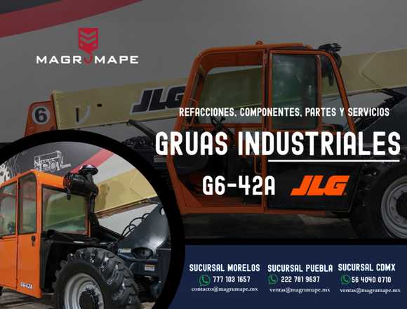 GRUAS INDUSTRIALES G6-42A JLG en Cuernavaca (Municipio)