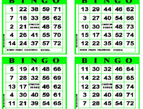 cartones desechables para bingo en Manizales (Municipio)