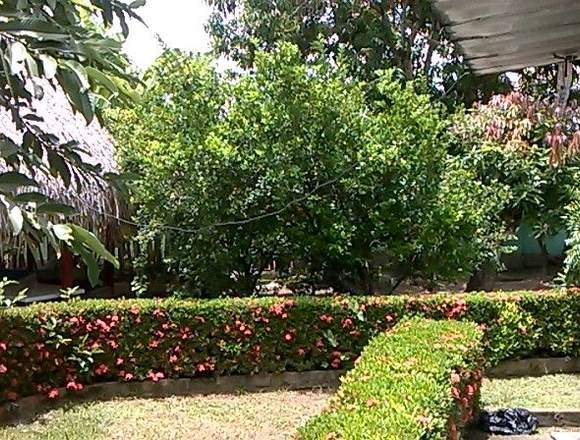 CASA QUINTA CARMEN DE APICALA – TOLIMA