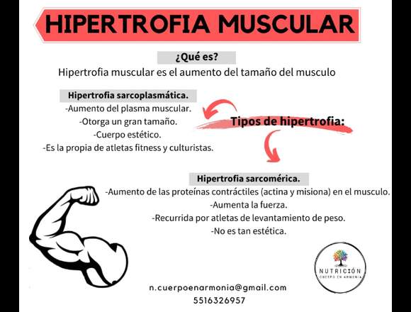 Cuida tu alimentación