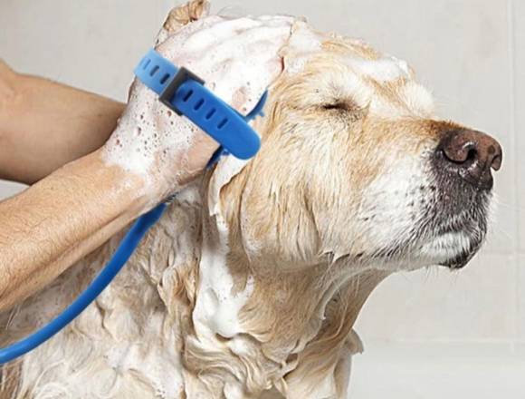 Manguera Para baño de mascotas