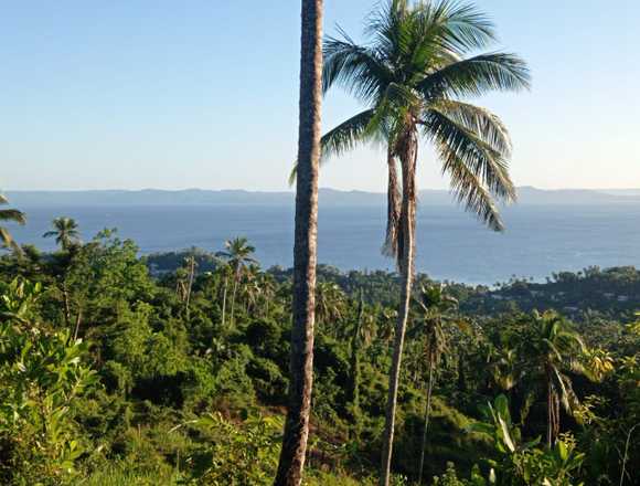 se vende terreno en monte rojo samna en Samaná (Municipio)
