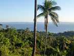 se vende terreno en monte rojo samna en Samaná (Municipio)