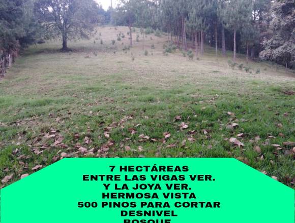 VENTA DE RANCHOS Y HECTÁREAS EN ZONA DE XALAPA en Xico (Municipio)