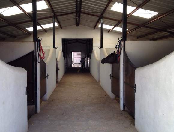 EXCELENTE GRANJA , ATENCION INVERSIONISTAS