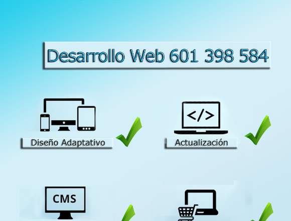Desarrollo de página/sitio web o tienda online.