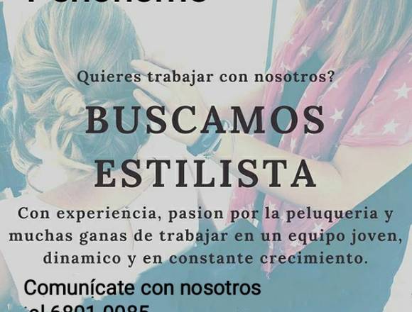 Estilista Profesional en Penonomé (Distrito)