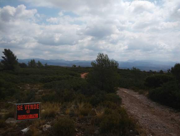 Terreno en monte San roque en Castellón de la Plana/Castelló de la Plana (Municipio)