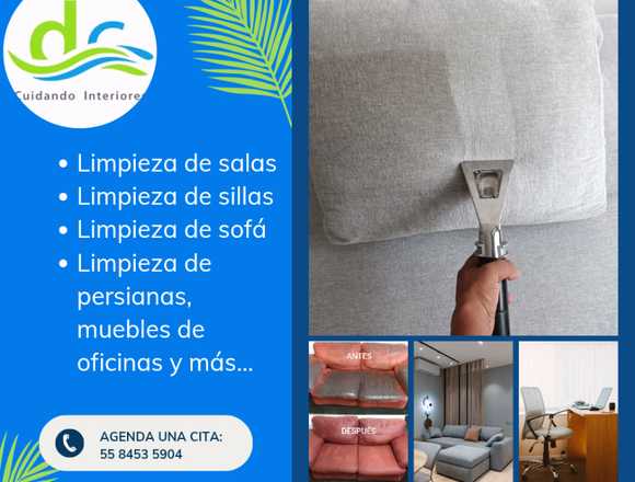 Limpieza profesional de tapicería en Miguel Hidalgo (Municipio)
