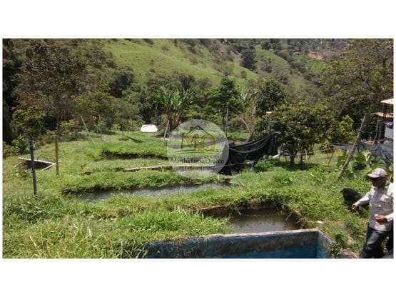 Finca en Girardota 57.600 mts, (para truchas)
