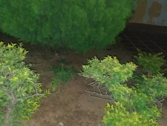 propiedad privada casa en Peña (Municipio)