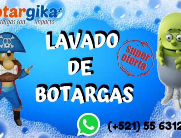 Mantenimiento y Lavado de Botargas