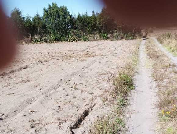 VENDO LOTE DE TERRENO DE 3000M2 EN MALCHINGUÍ en Pedro Moncayo (Cantón)