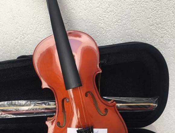 Violín París p/principiantes en Naucalpan de Juárez (Municipio) – Foto 2 de 2