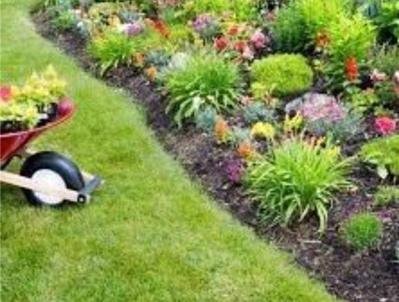 BCJ CLEAN. SERVICIOS DE LIMPIEZA Y JARDINERIA.