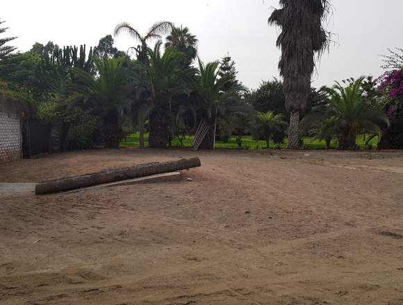 TERRENO EN PACHACAMAC VILLA EL SALVADOR en Pachacamac (Lima 19) (Distrito)