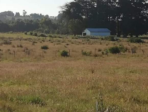 VENTA DE TERRENO DE 3,78 HECTÁREAS (37.800 M2).