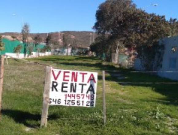 Terreno en renta 2000 m2 en Ensenada (Municipio)