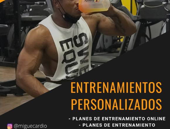 ENTRENAMIENTOS PERSONALIZADOS en Panamá (Distrito)