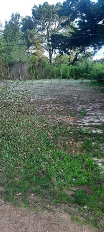 Terreno en Balneario La Floresta Canelones en La Floresta (Localidad)