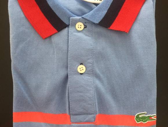 Camibusos tipo lacoste en venta disponibles en Ibagué (Municipio)