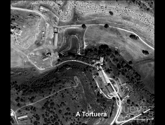 SE PRECISA PEON AGRICOLA en Tortuera (Municipio)