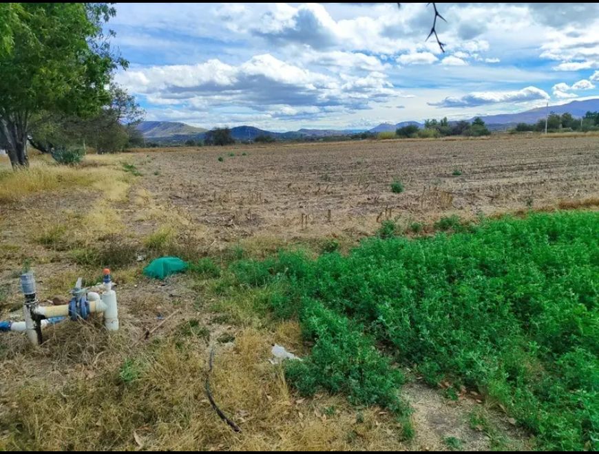 TERRENO 3.5 Has EN VENTA CERCA DE CARRETERA