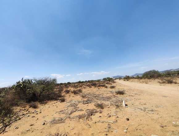 TERRENO250M2 EN VENTA ZONA CAMPESTRE EN CRECIMIENT