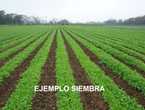 TERRENO 8 Has EN VENTA CON PLANES DE PAGO.